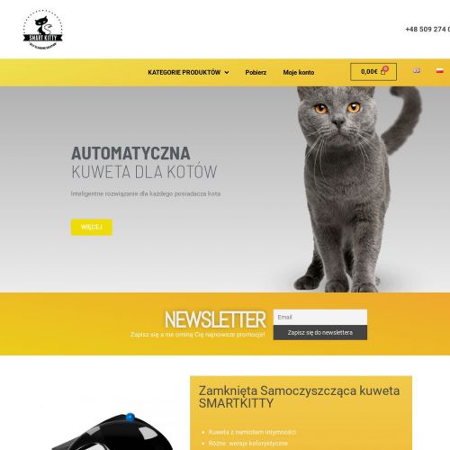 Automatyczne kuwety dla kotów