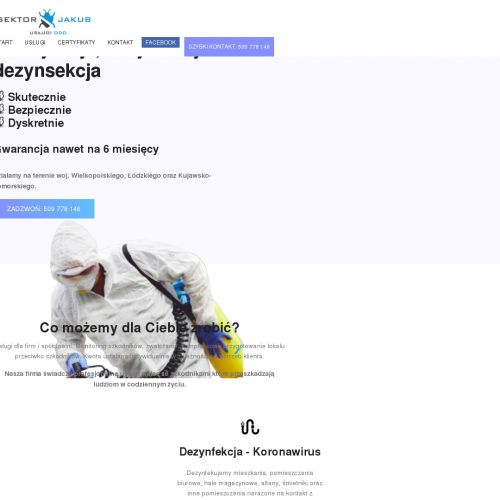 Usuwanie karaluchów