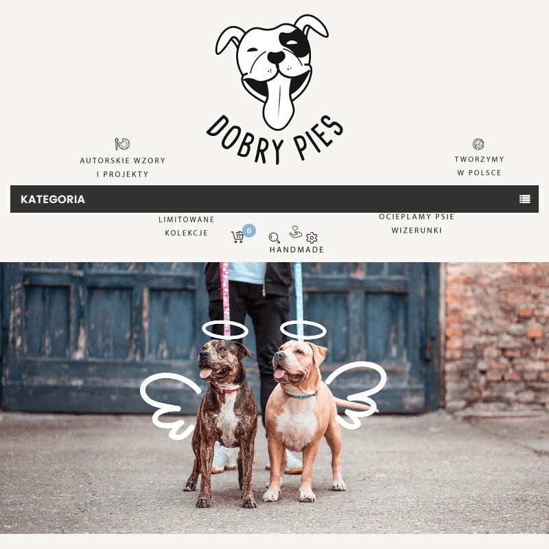Stylowe obroże dla psa