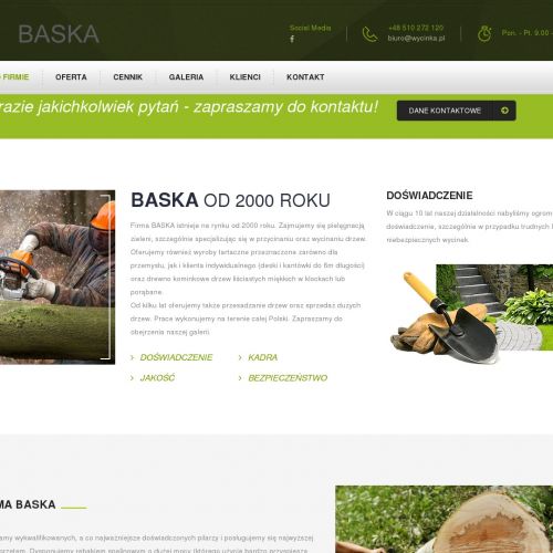 Przycinanie drzew w Gliwicach