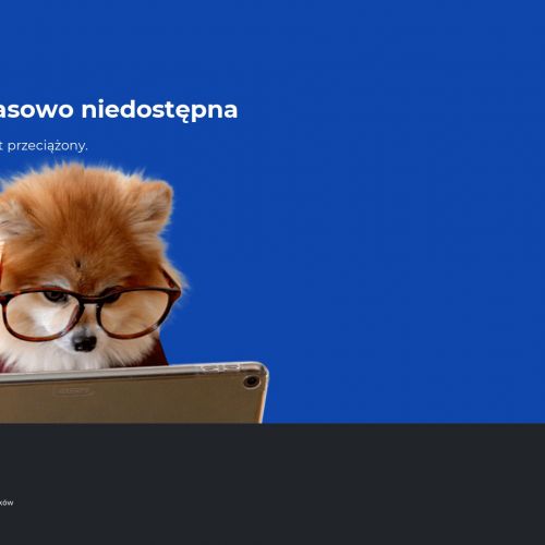 Profesjonalne ozonowanie: Warszawa