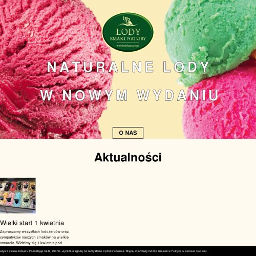 Franczyza na lody tradycyjne i rzemieślnicze